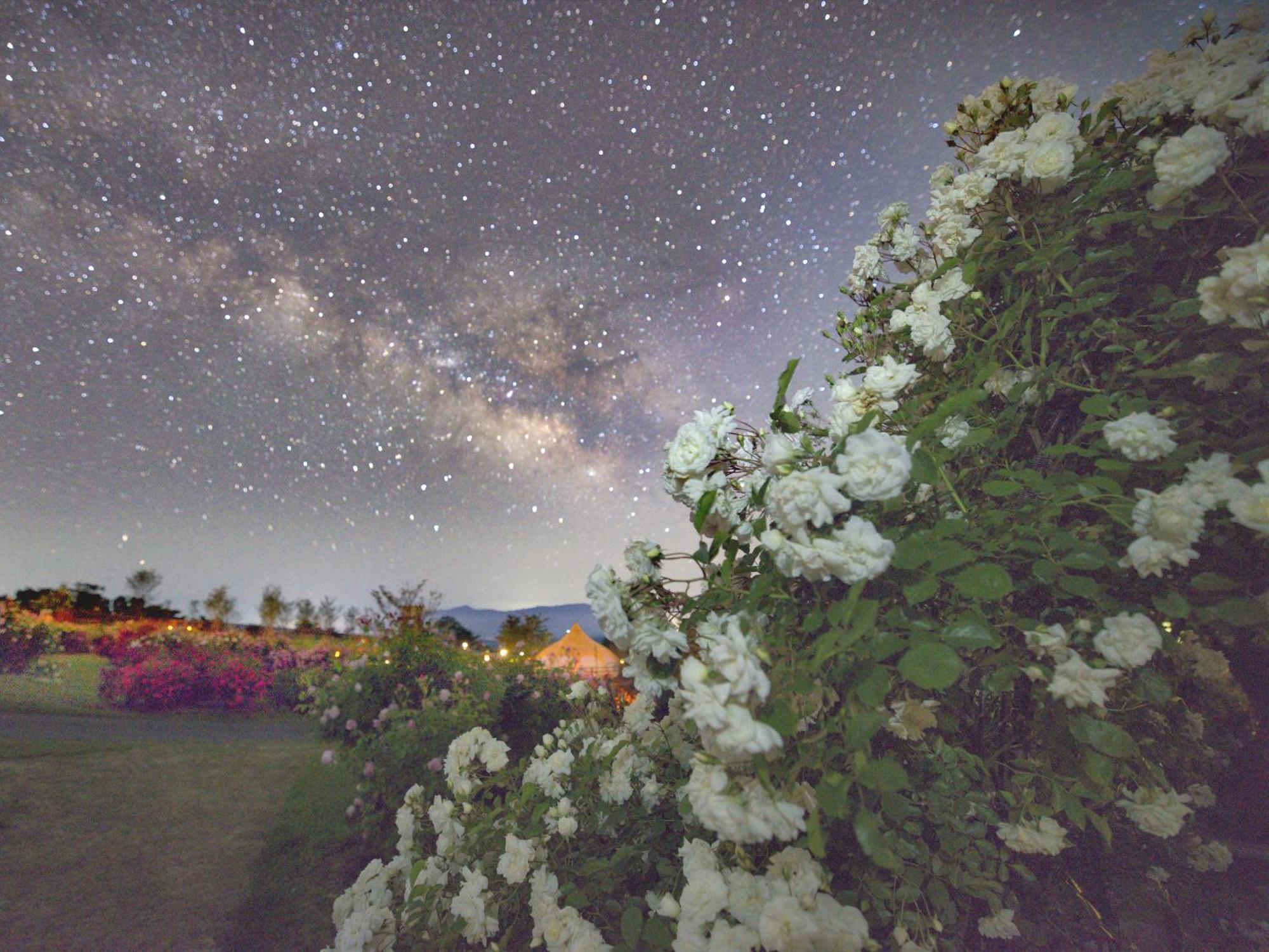 くじゅう花公園　キャンピングリゾート花と星 Kuju Exterior foto