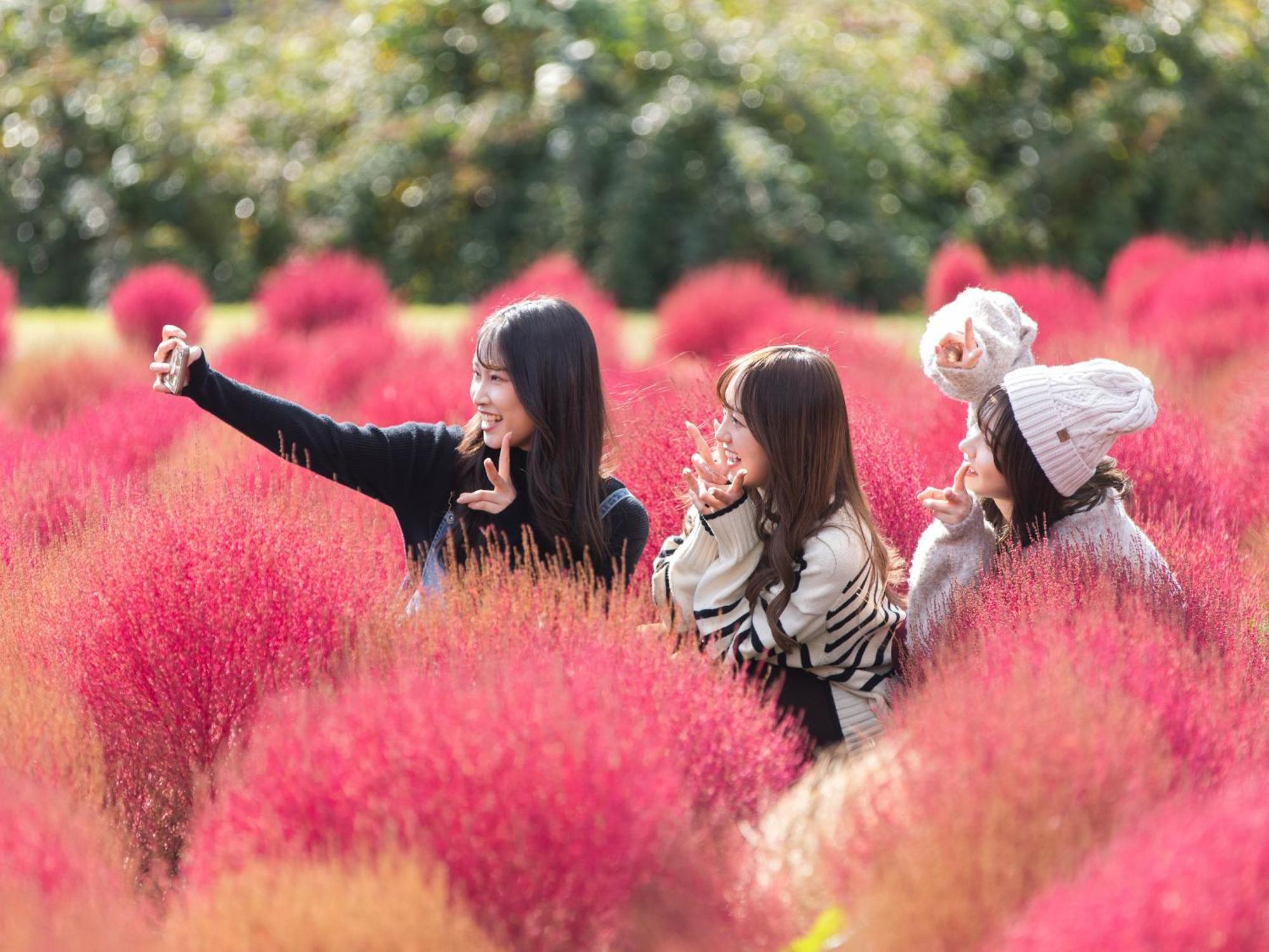 くじゅう花公園　キャンピングリゾート花と星 Kuju Exterior foto